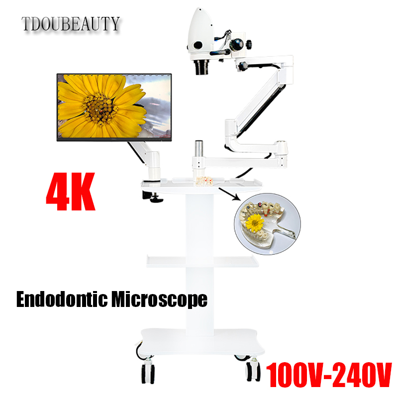 4K Dental Electron Microscope  - Teeth Whitening Video ulasan dan harga