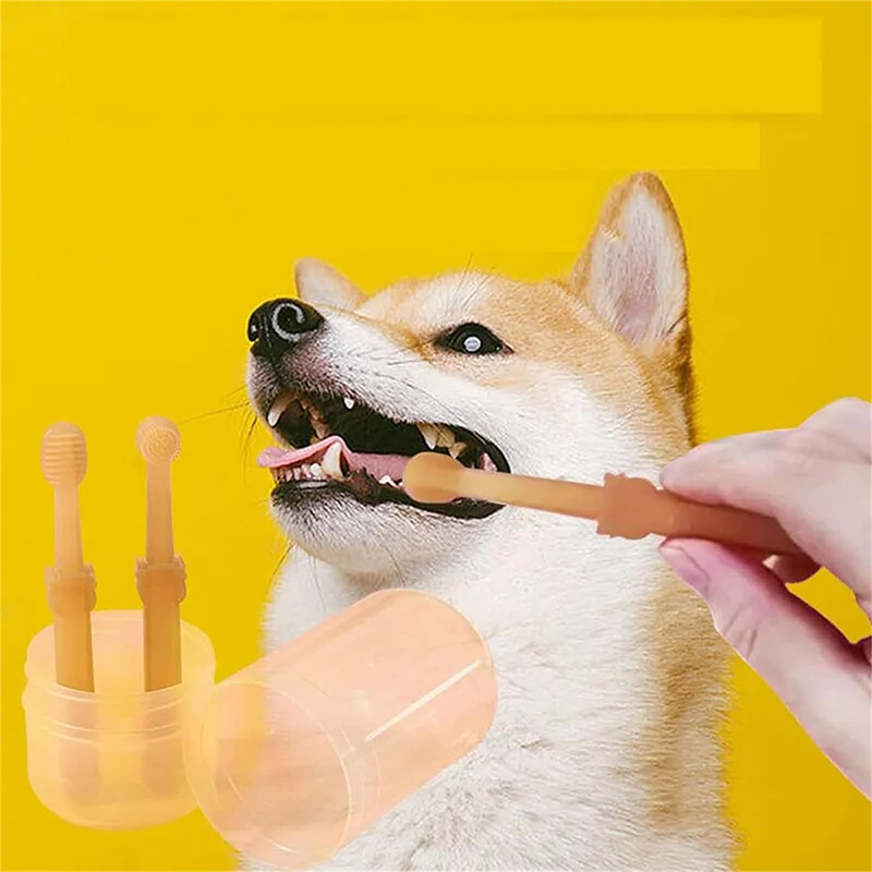 Teeth Whitening Dog Cat Silico - Teeth Whitening Toothpaste ulasan dan harga