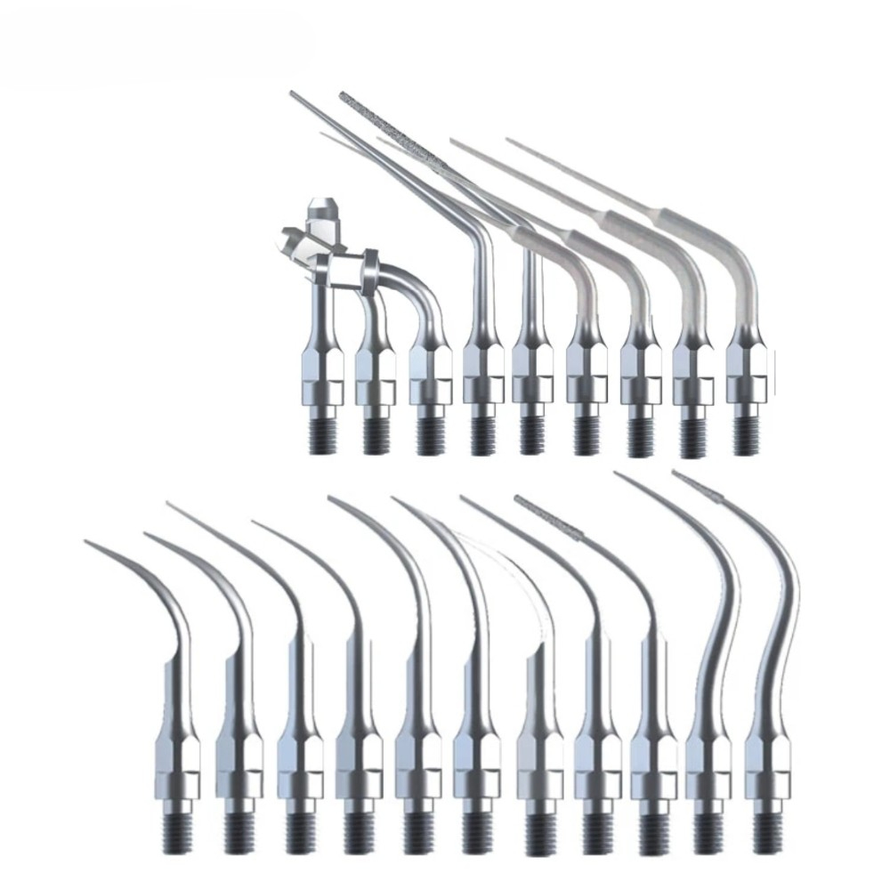 Teeth Cleaning Ultrasonic Dent - Teeth Whitening Lab ulasan dan harga